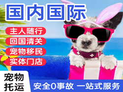 五台山航空托运国际宠物托运 【国